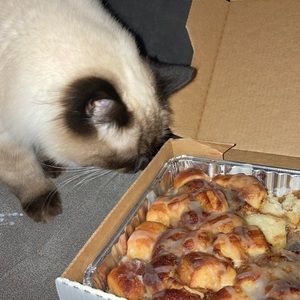 Meet your Posher, Grace